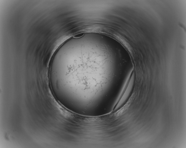 X0000096671434200802191319