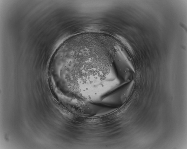 X0000096671435200802191319
