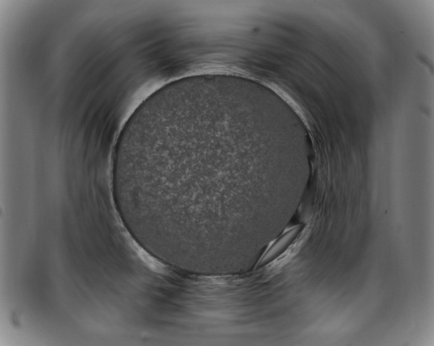 X0000096671438200802191320
