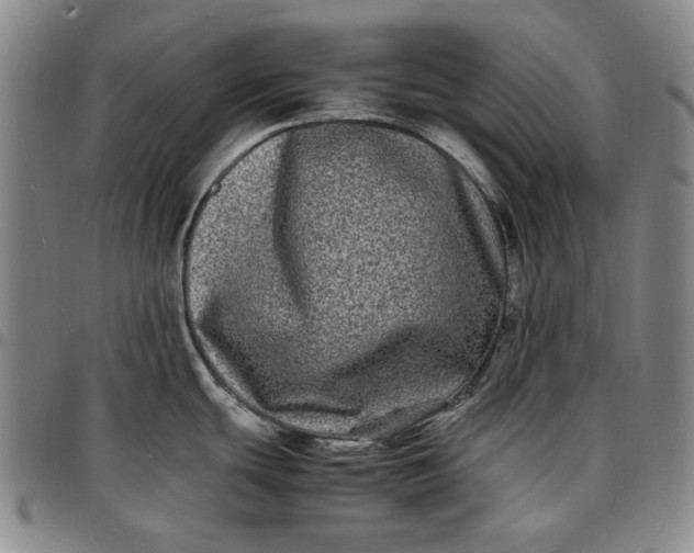 X0000096671439200802191320