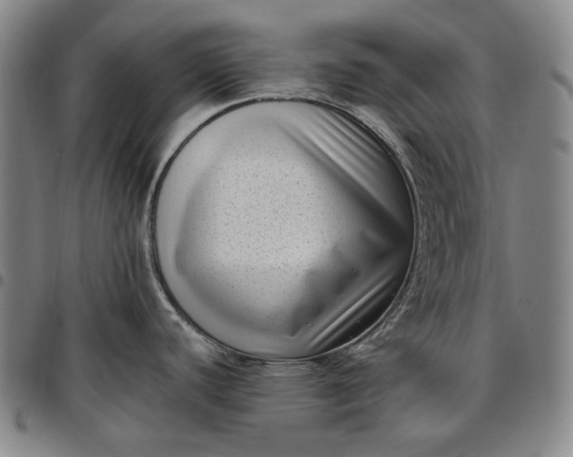 X0000096671440200802191320
