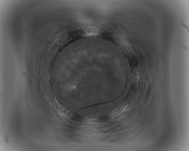 X0000096671441200802191319