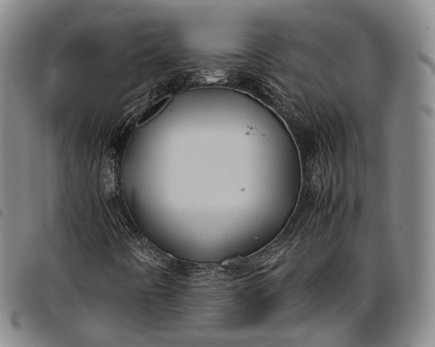 X0000096671442200802191319