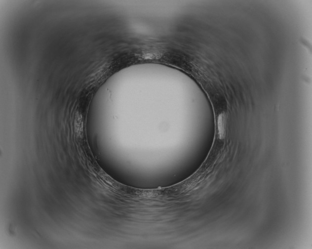 X0000096671443200802191319