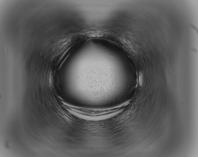 X0000096671444200802191319
