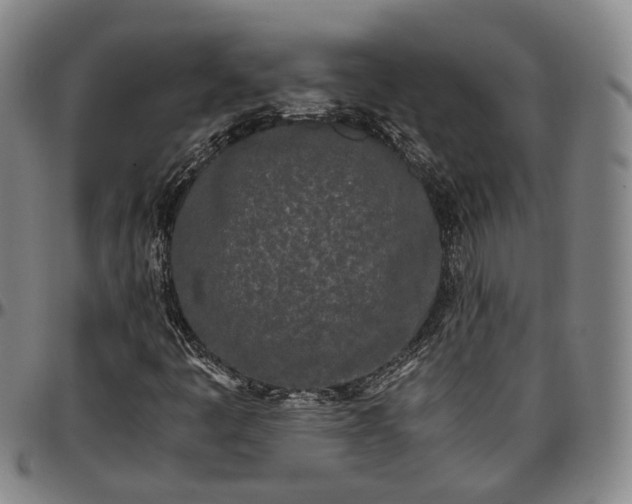 X0000096671445200802191319