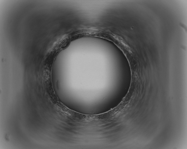 X0000096671447200802191319