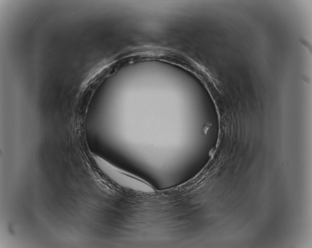 X0000096671448200802191319