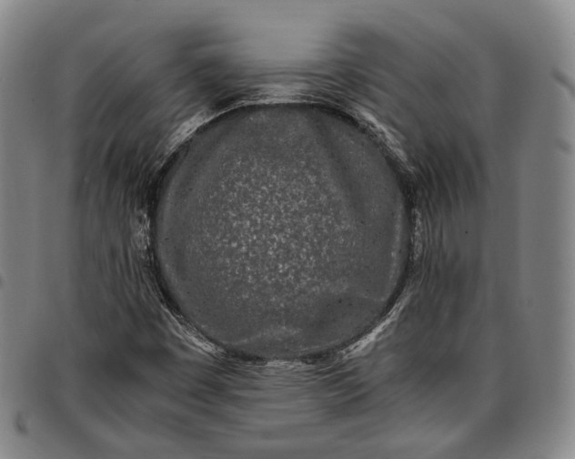 X0000096671449200802191319