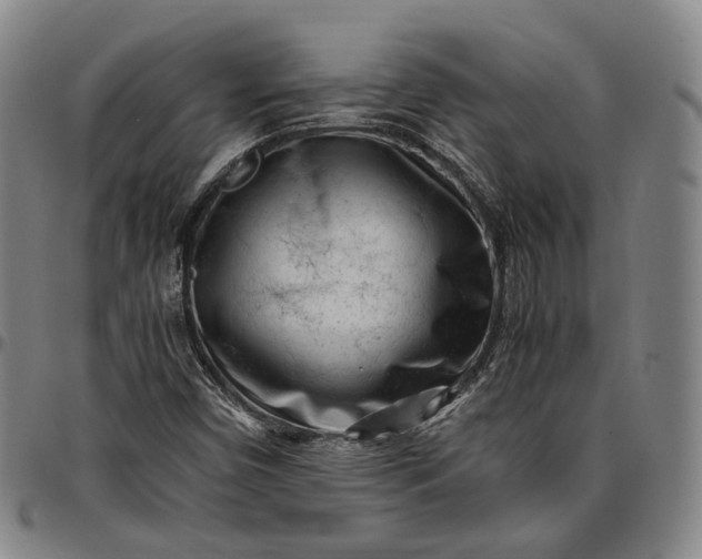 X0000096671450200802191319