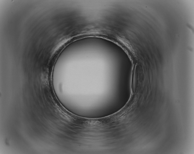 X0000096671452200802191319