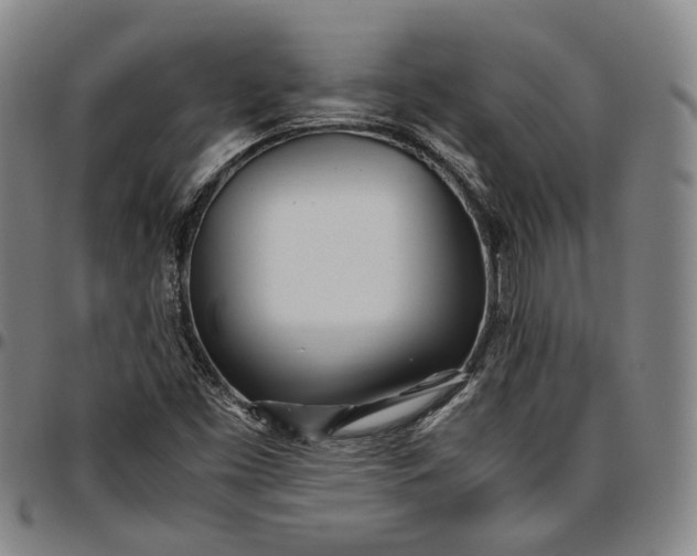 X0000096671453200802191319