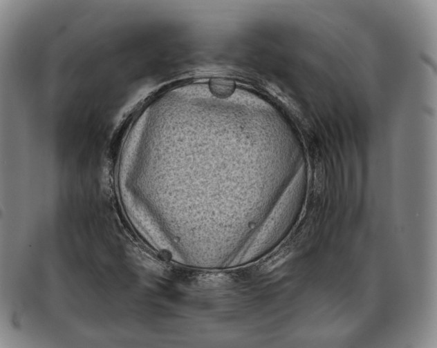X0000096671454200802191319
