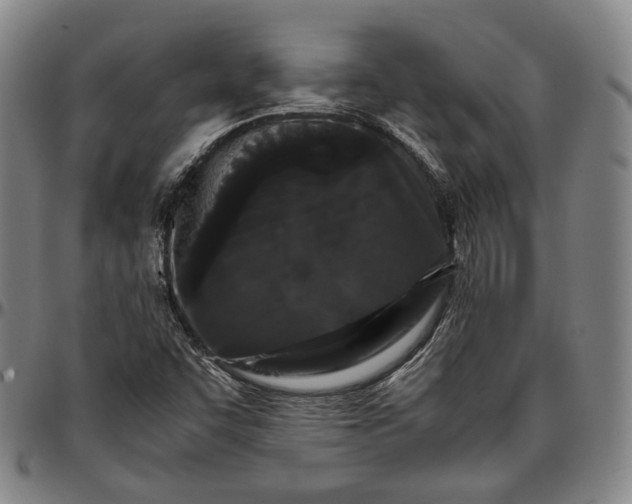 X0000096671455200802191319