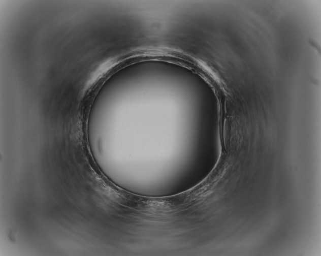 X0000096671456200802191319