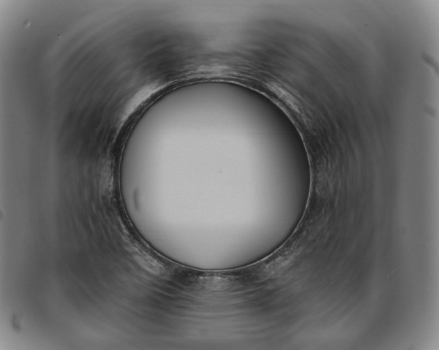 X0000096671458200802191319