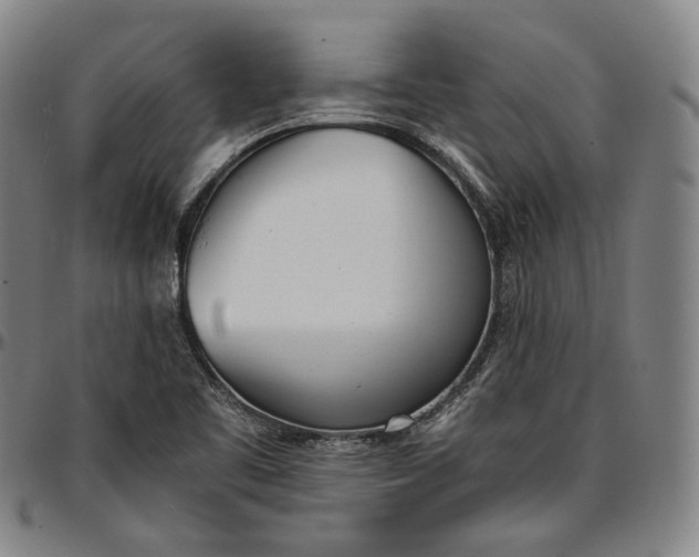 X0000096671461200802191319