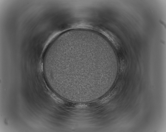 X0000096671462200802191319