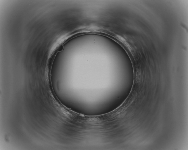 X0000096671464200802191319