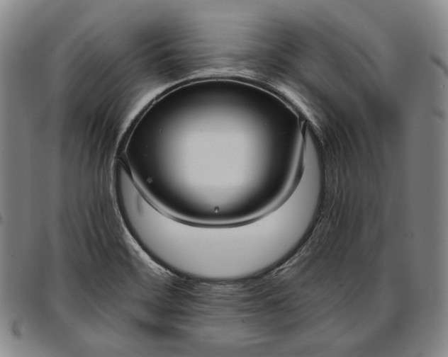 X0000096671468200802191319