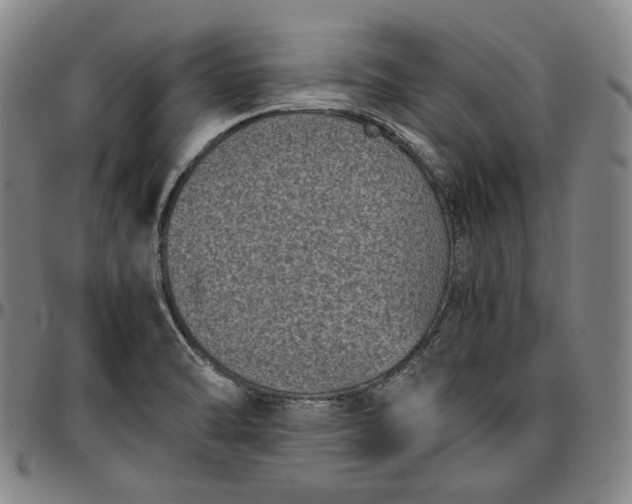 X0000096671470200802191318