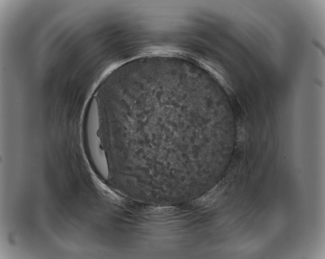 X0000096671471200802191318