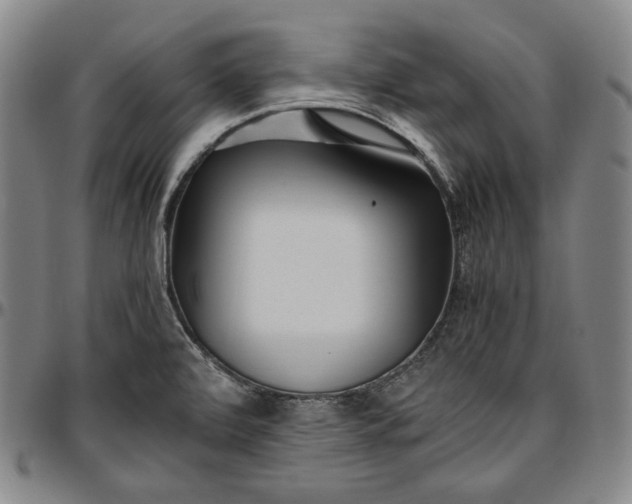 X0000096671472200802191318
