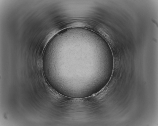 X0000096671473200802191318