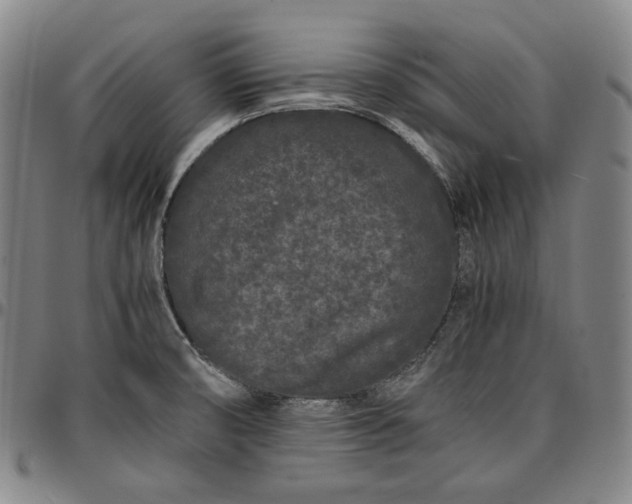 X0000096671474200802191318