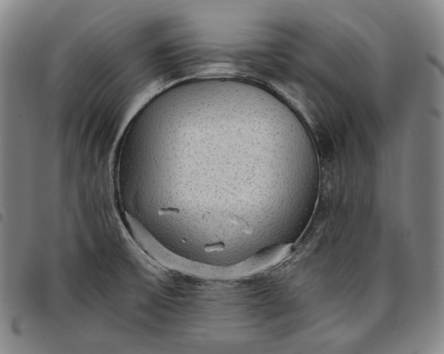 X0000096671475200802191318