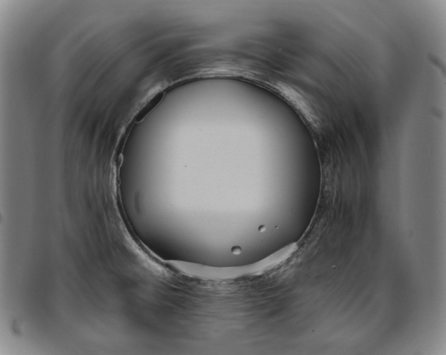 X0000096671476200802191318