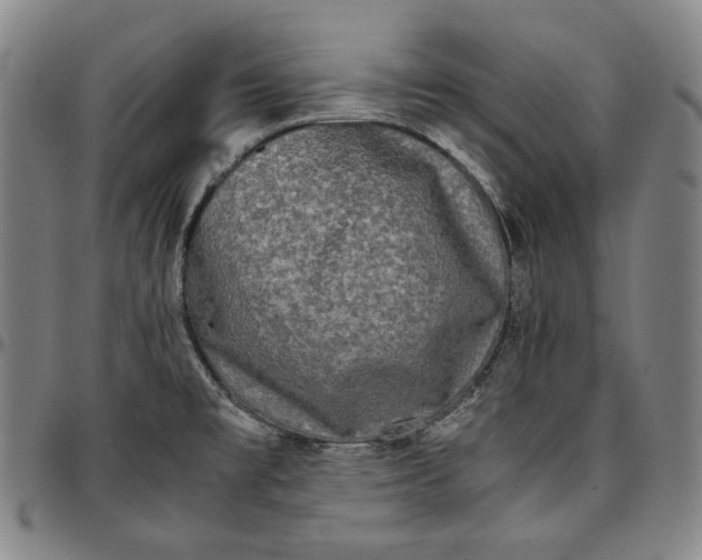 X0000096671477200802191318