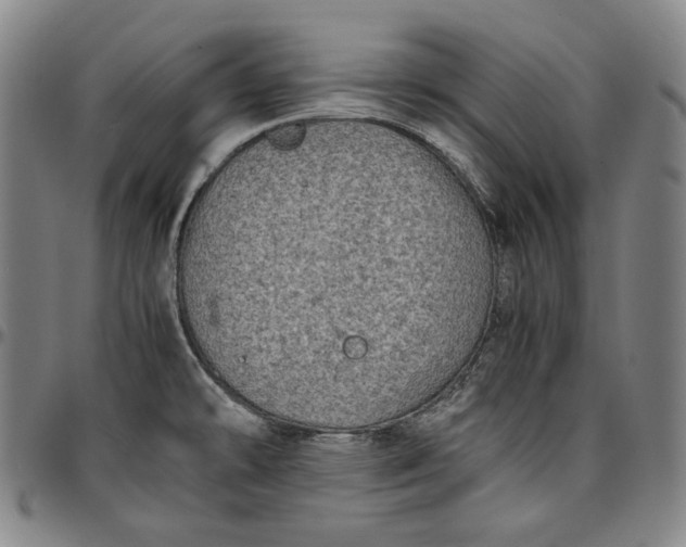X0000096671478200802191318