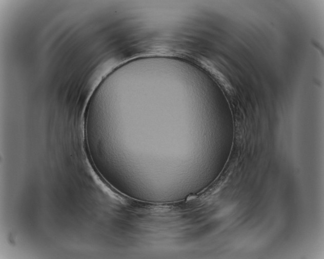 X0000096671479200802191318