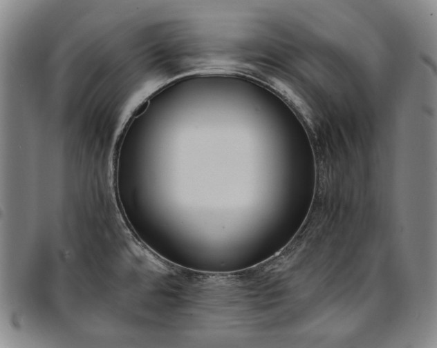 X0000096671480200802191318