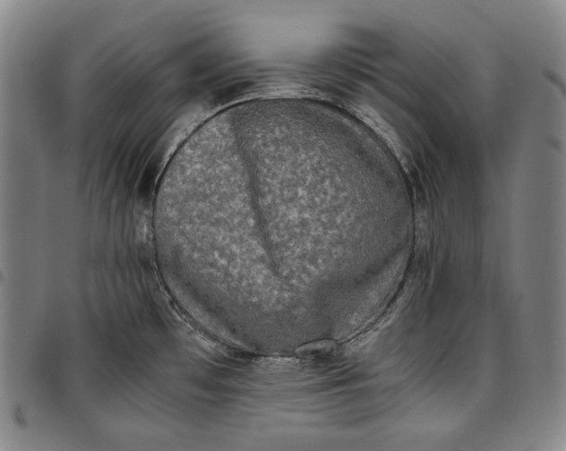 X0000096671481200802191318