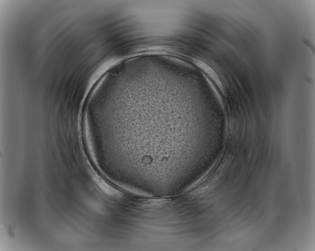 X0000096671482200802191318