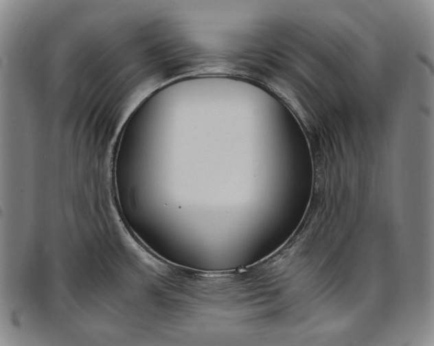 X0000096671483200802191318