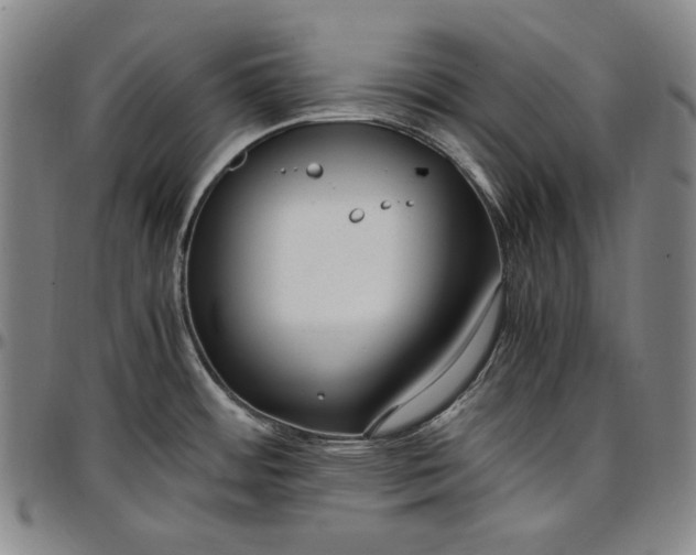 X0000096671484200802191318