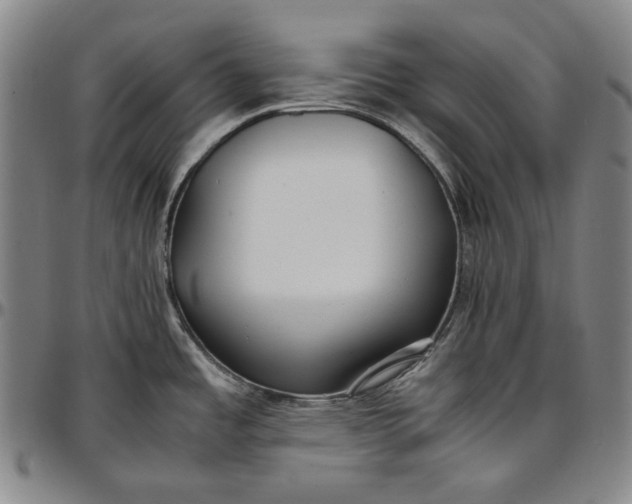 X0000096671485200802191318