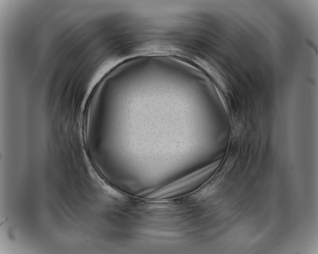 X0000096671486200802191318