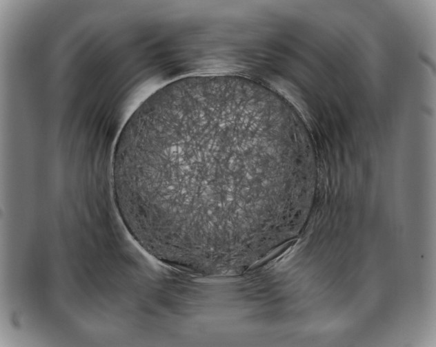 X0000096671487200802191318