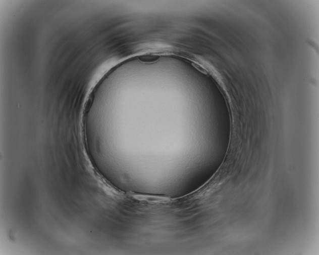 X0000096671488200802191318