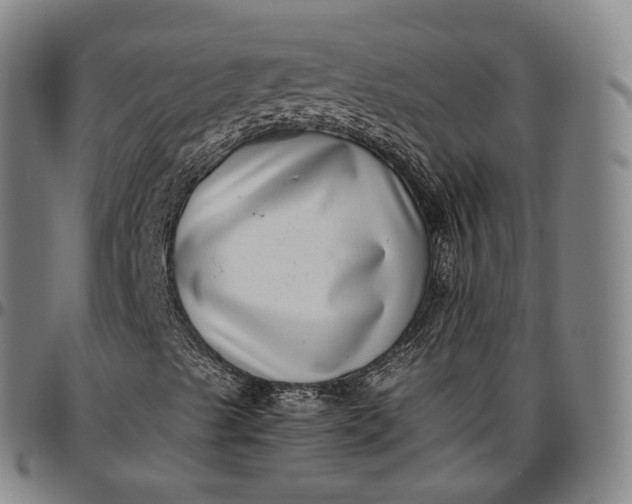 X0000096671489200802191318