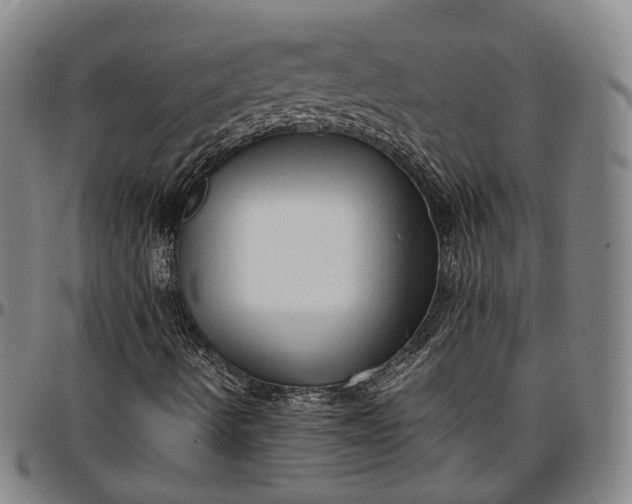X0000096671490200802191318