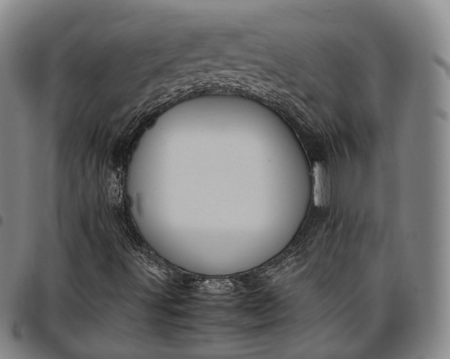 X0000096671491200802191318