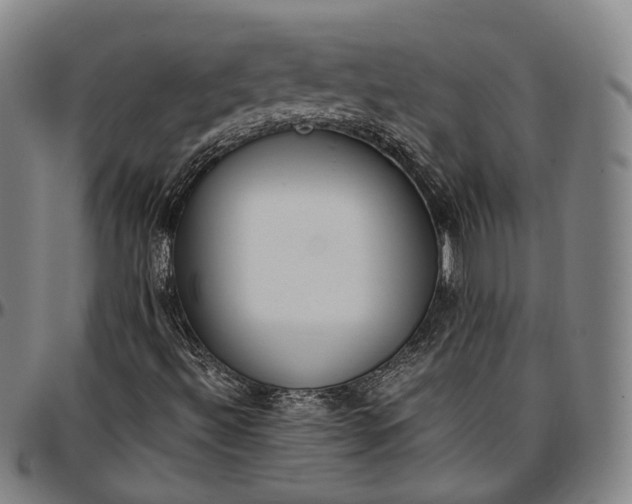 X0000096671492200802191318