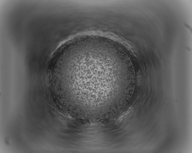 X0000096671494200802191318