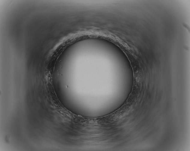 X0000096671495200802191318