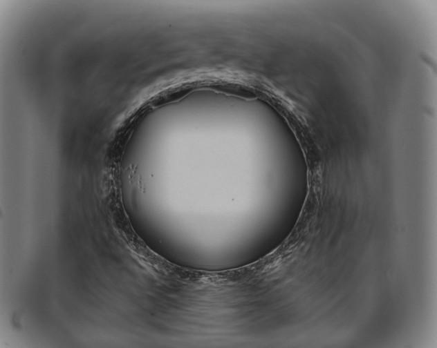 X0000096671496200802191318
